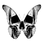 the butterfly effect the butterfly effect